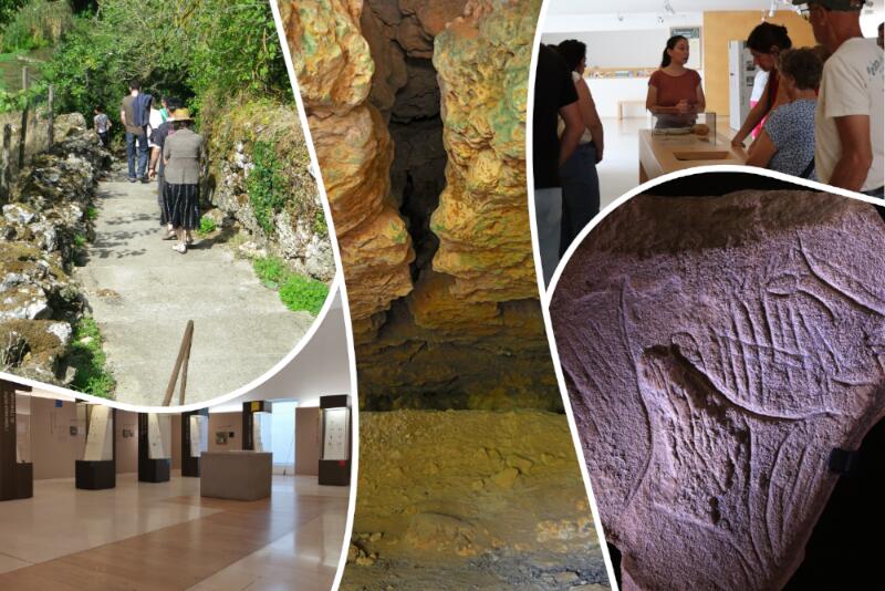 collage visite guidée - 1