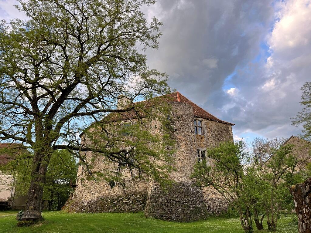 cluzeau - m
