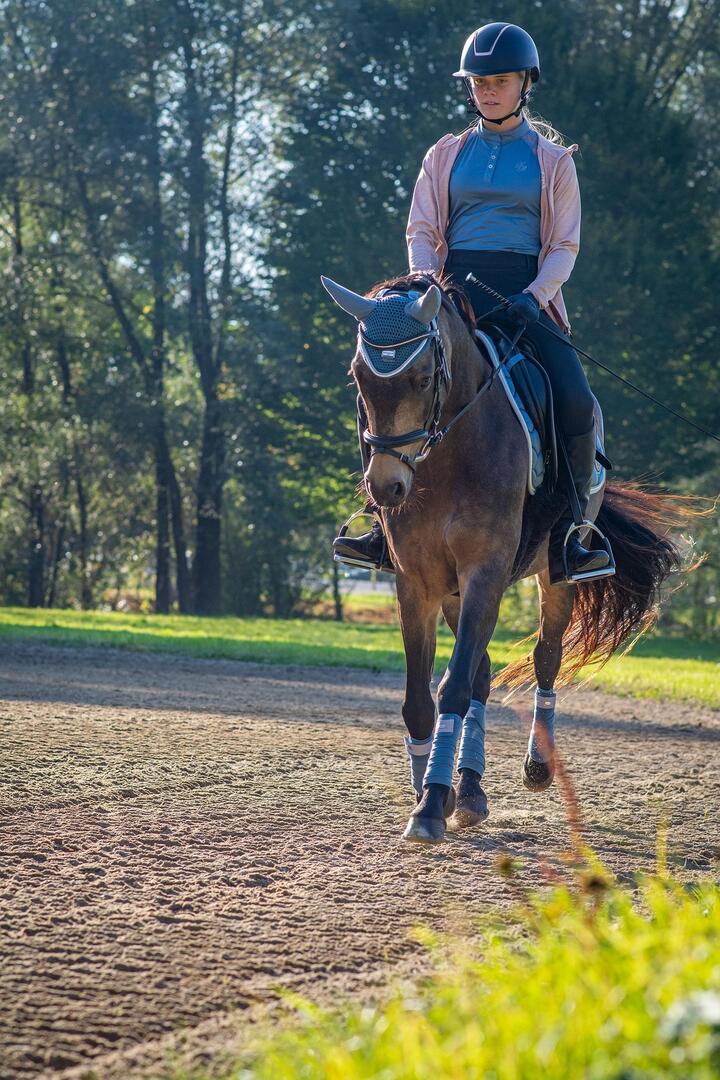 equitation