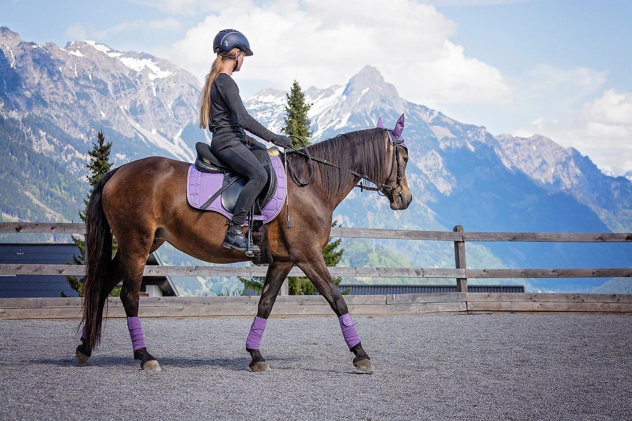 equitation