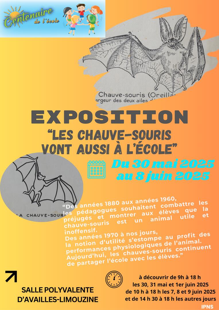 exposition chauve souris - 1