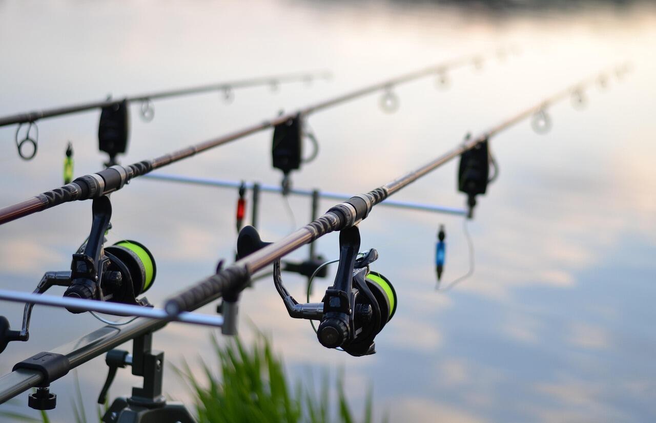 fishing-3302535_1280