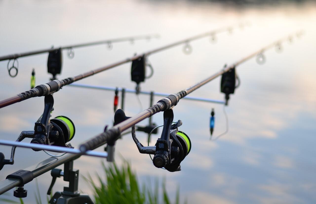 fishing-3302535_1280