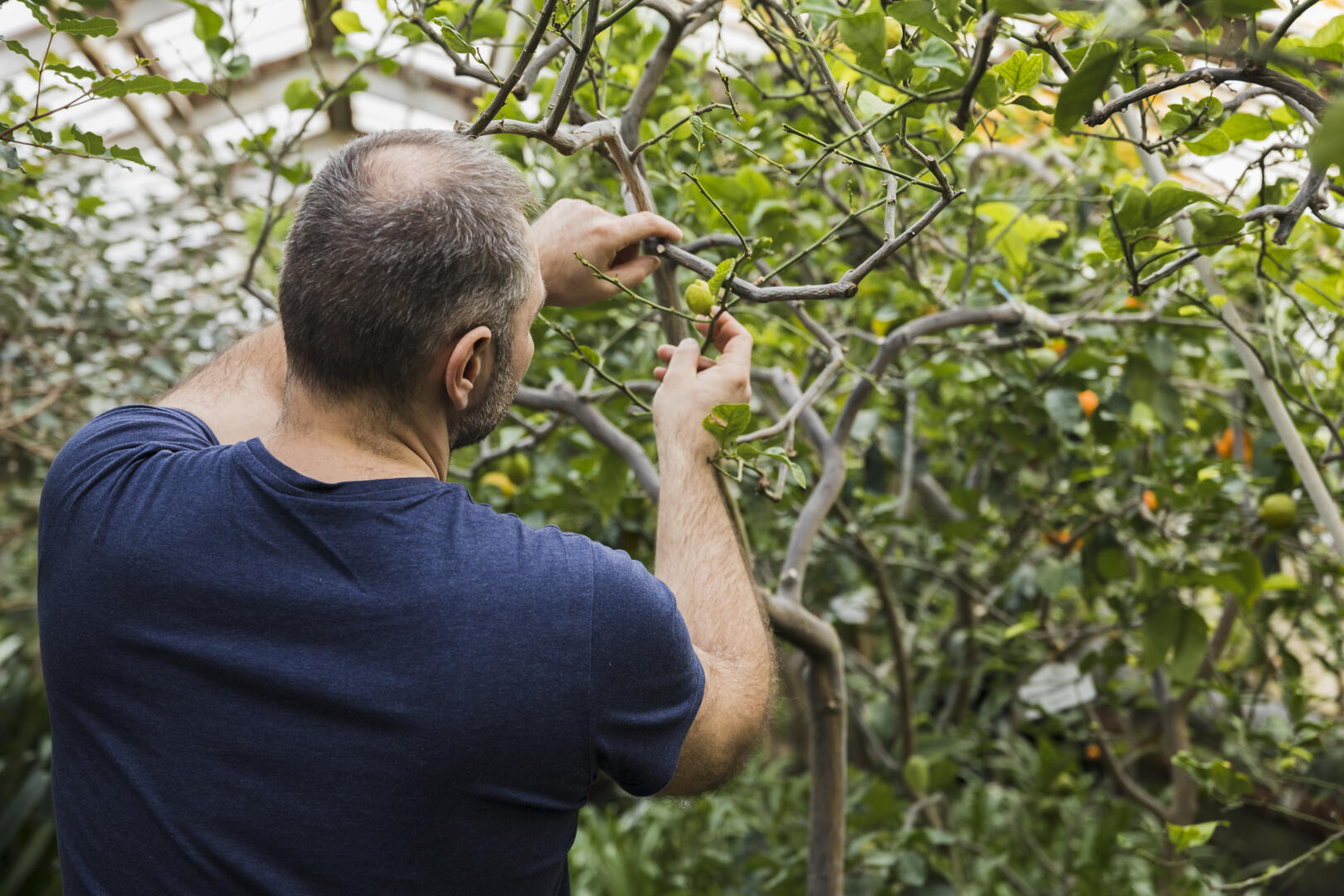 gardening-concept-with-man-planting
