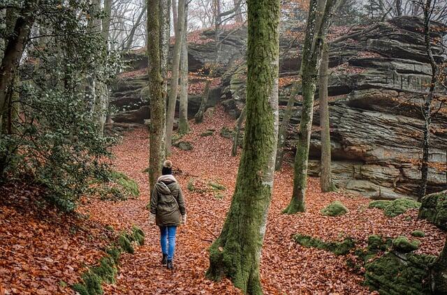 hiking-7667621_640