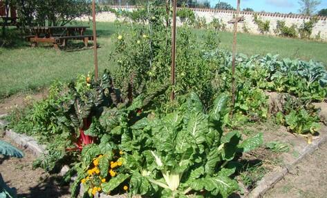 jardin ecomusee