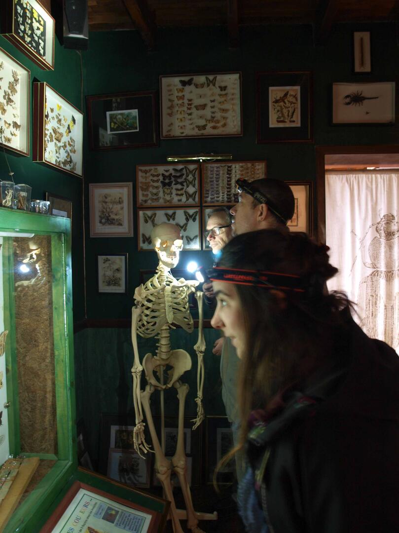 la nuit des musées cité cité des insectes3