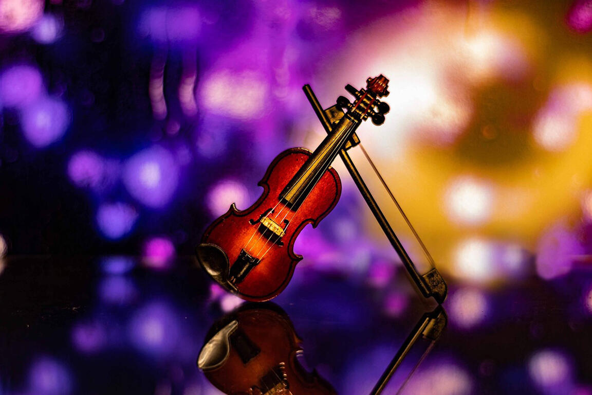 lockenfrosch-violin-4333692_1280