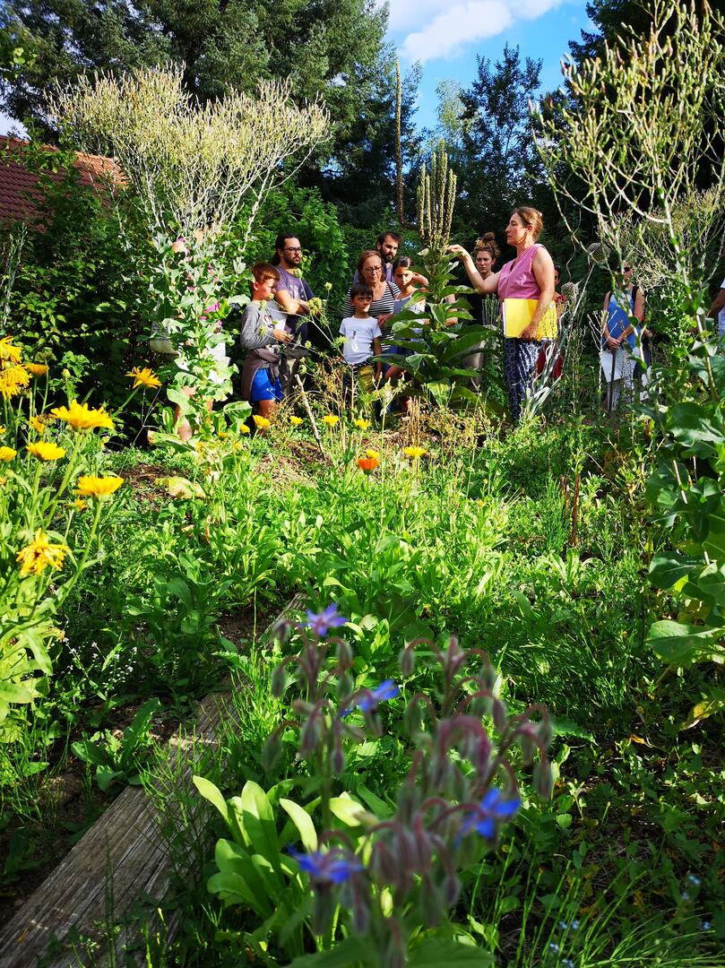 photo jardin animation