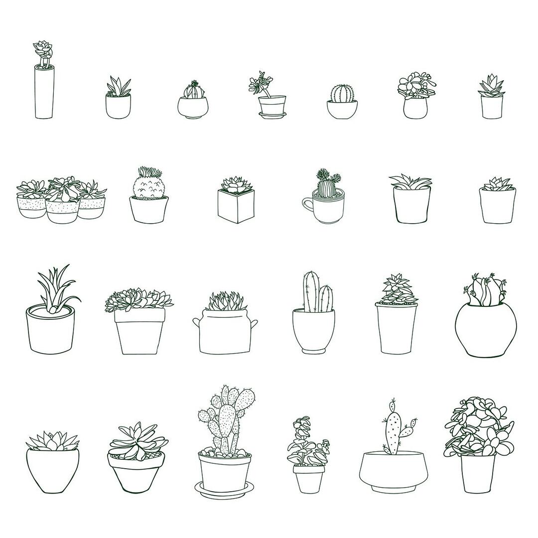plant-3984065_1280