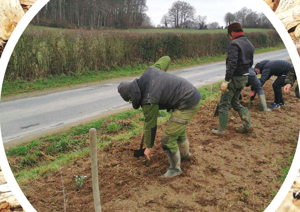 plantation de haies à St Maurice-la-Souterraine samedi 13 décembre 2025