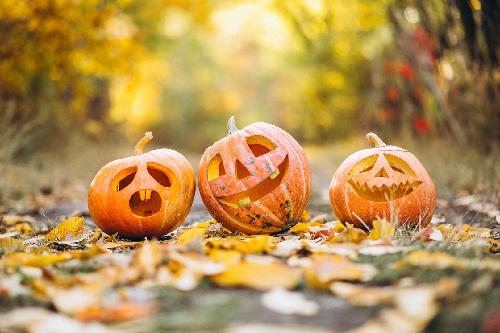 pumpkin-6720424_1920