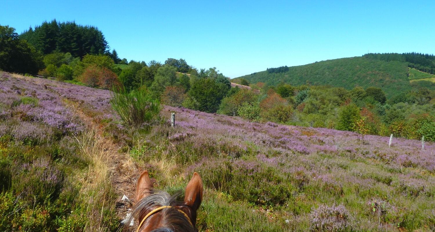 randonnee-equestre-ecotouristique-promenade-cheval-equitation-ethologique-western