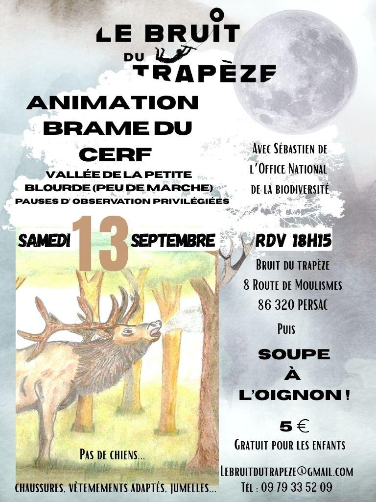 rando brame cerf - 1