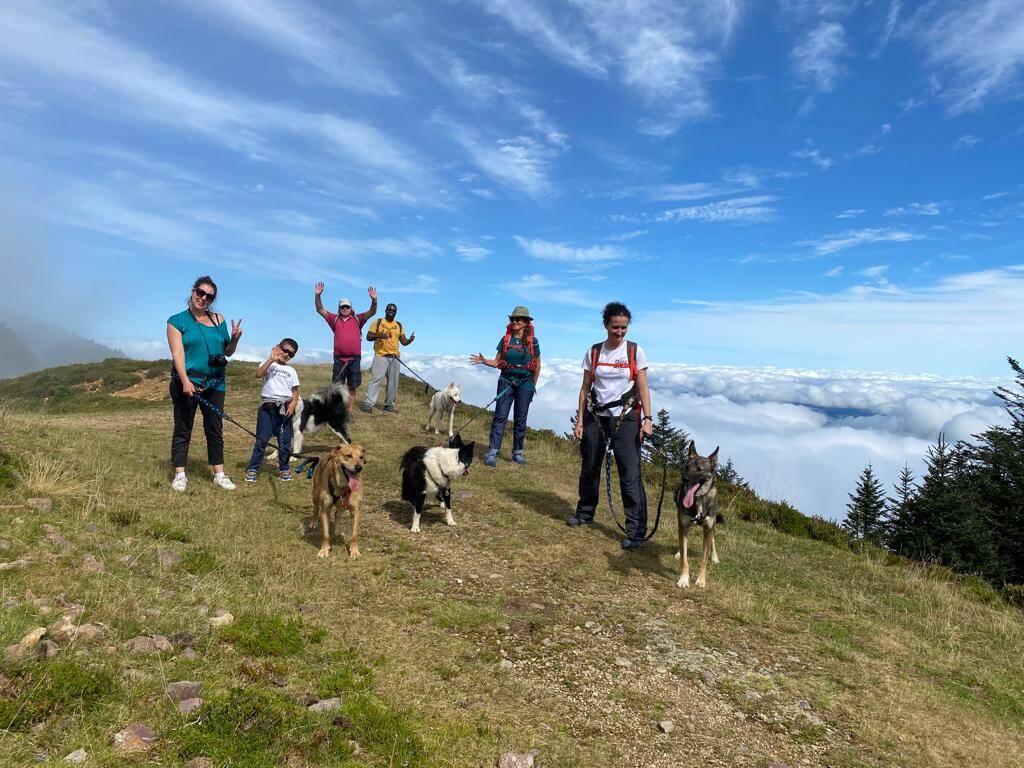 Cani rando en famille à La Pierre Saint-Martin