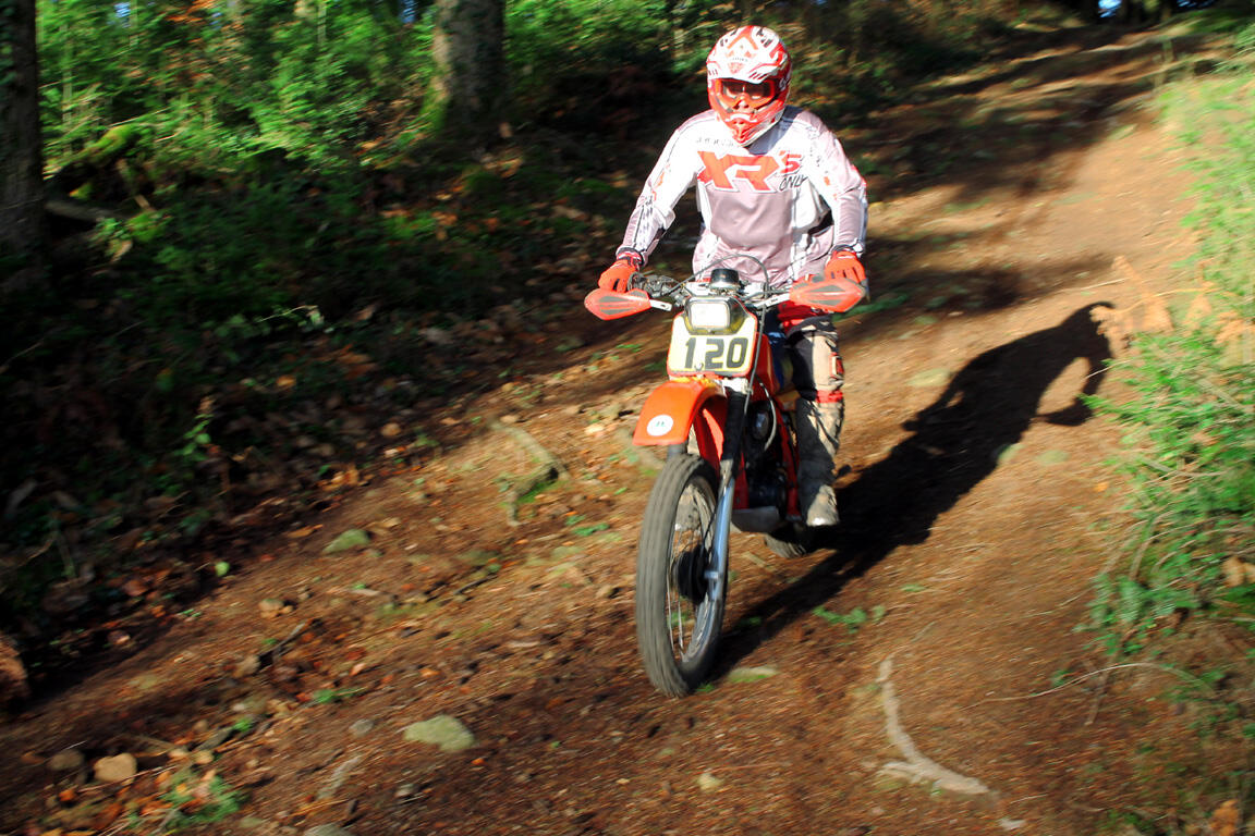 sur les traces de la bête