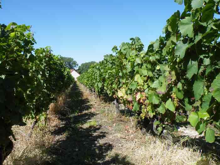 domainedessouterrains