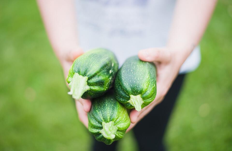 Courgettes