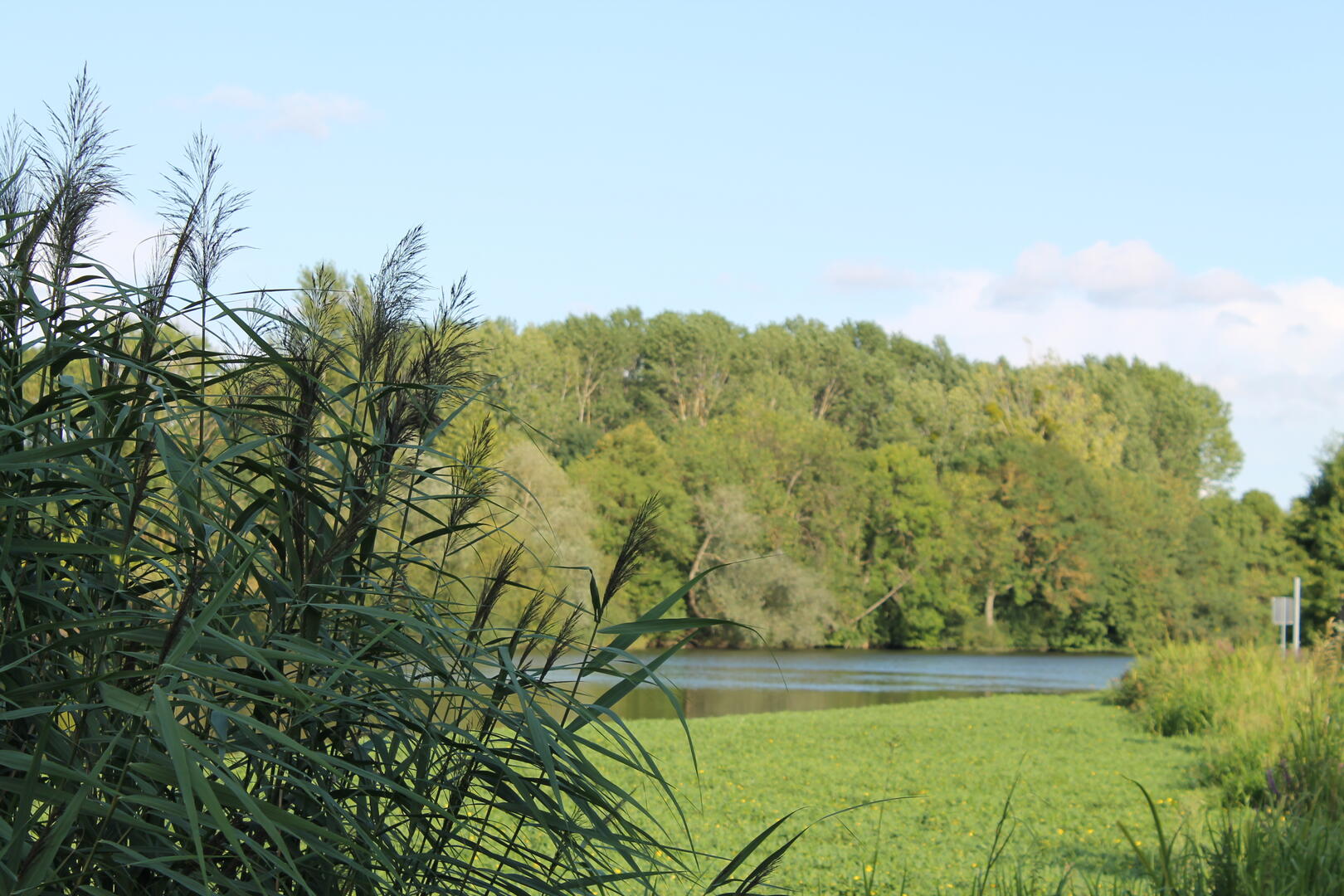 sentier interprétation à Saint-Georges-sur-Cher
