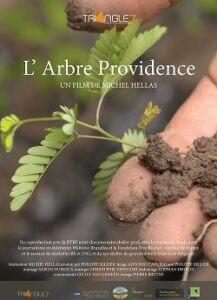 Arbre Providence