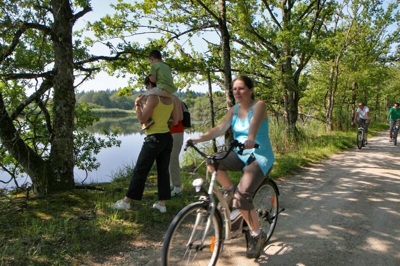 Balade-velo-chemin-sologne©Enola-Creation-ADT41 (2)