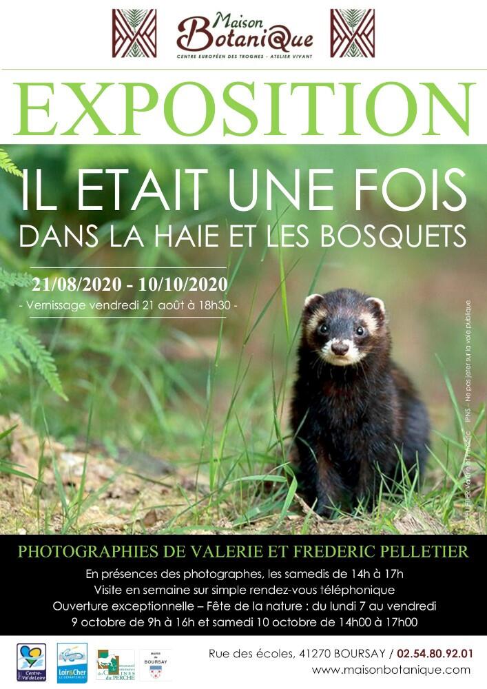 Exposition-Maison-Botanique-Boursay
