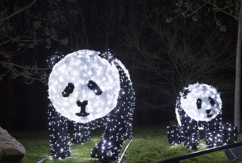 Illuminations de Noël au ZooParc de Beauval ©ZooParc de Beauval