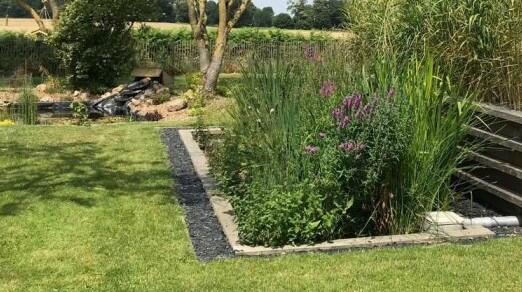 Jardin d'assainissement
