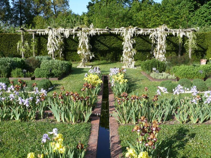 Floraison des Iris au Domaine de Poulaines