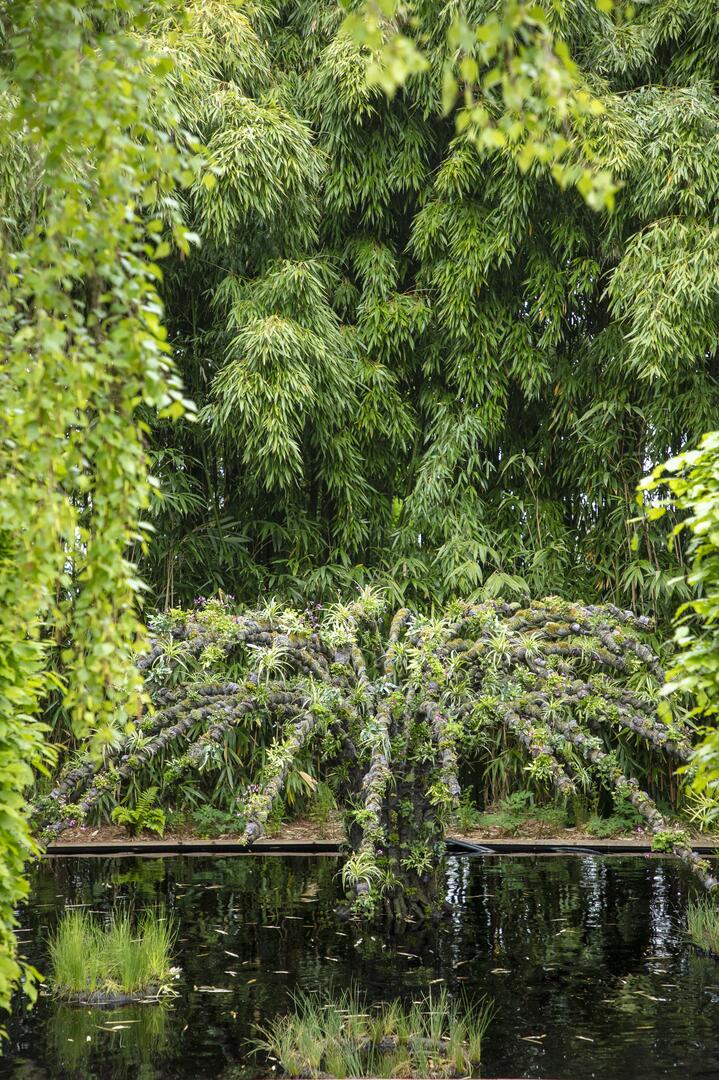 Le jardin de la fontaine anémone JPPoirée Ville