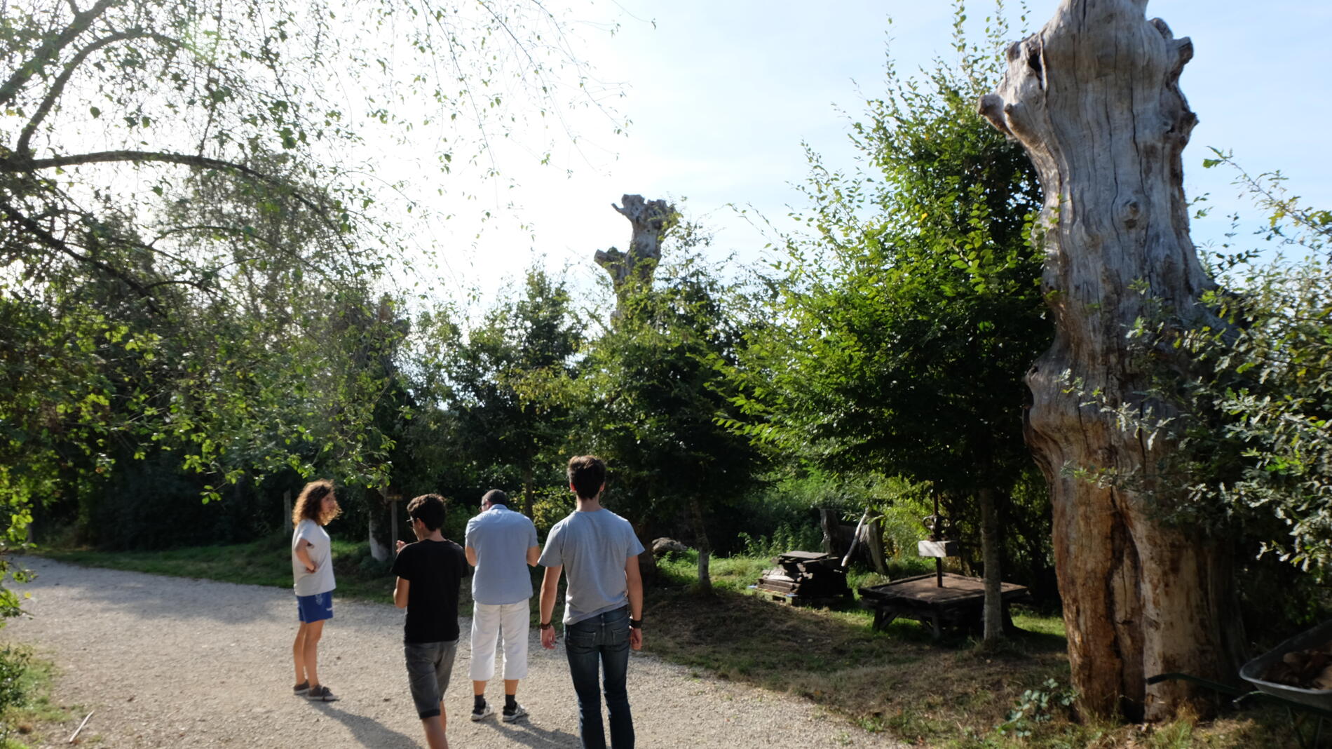 Les 3 chemins-Maison botanique de Boursay