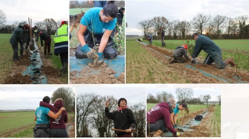 Collectif planteurs d'arbres