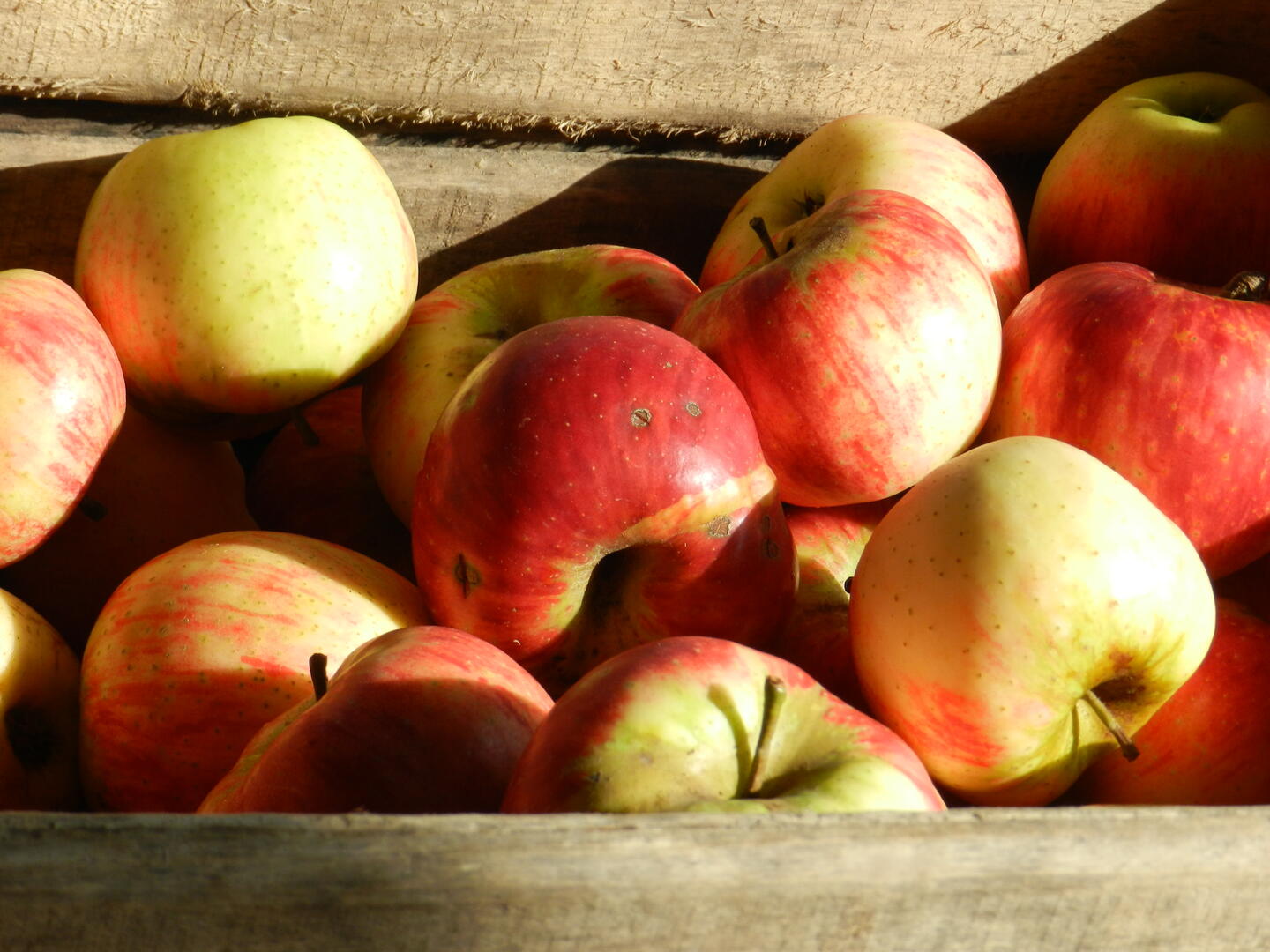 Marché