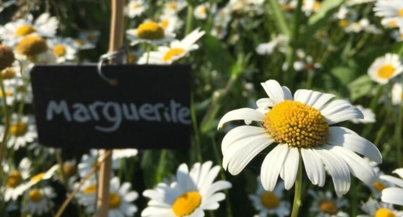 Panneaux jardins