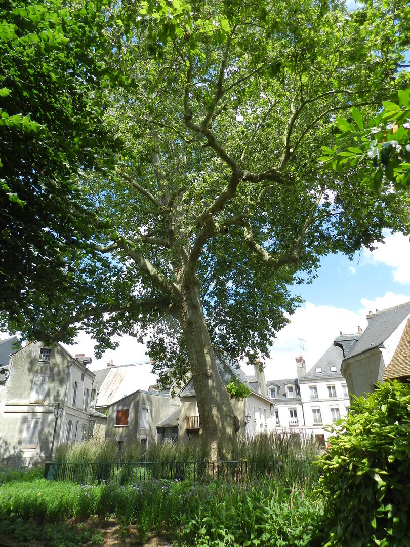 Parc Ronsard à Vendôme