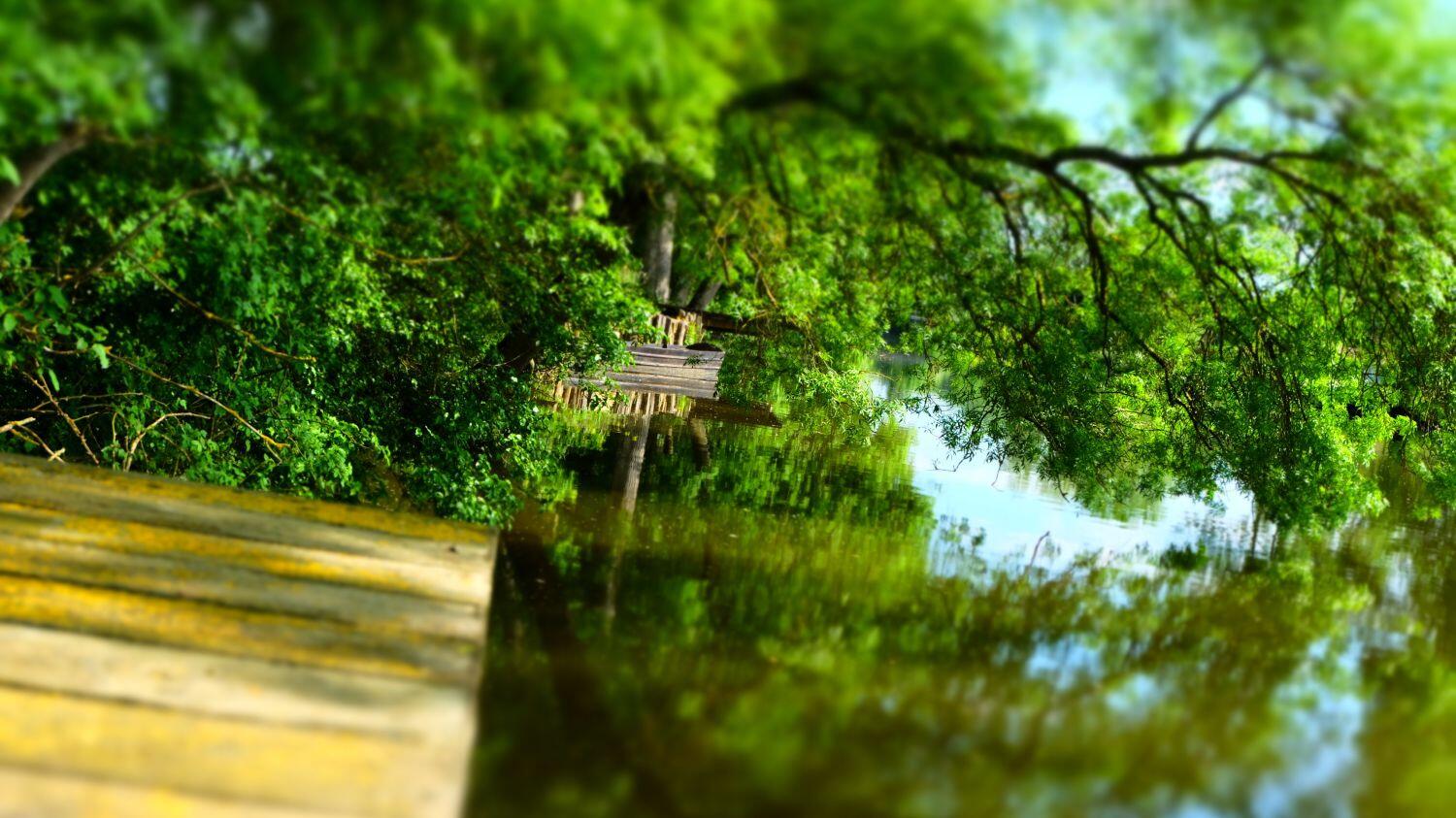 Le Loir