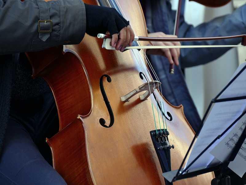 violoncelliste-musique-pixabay