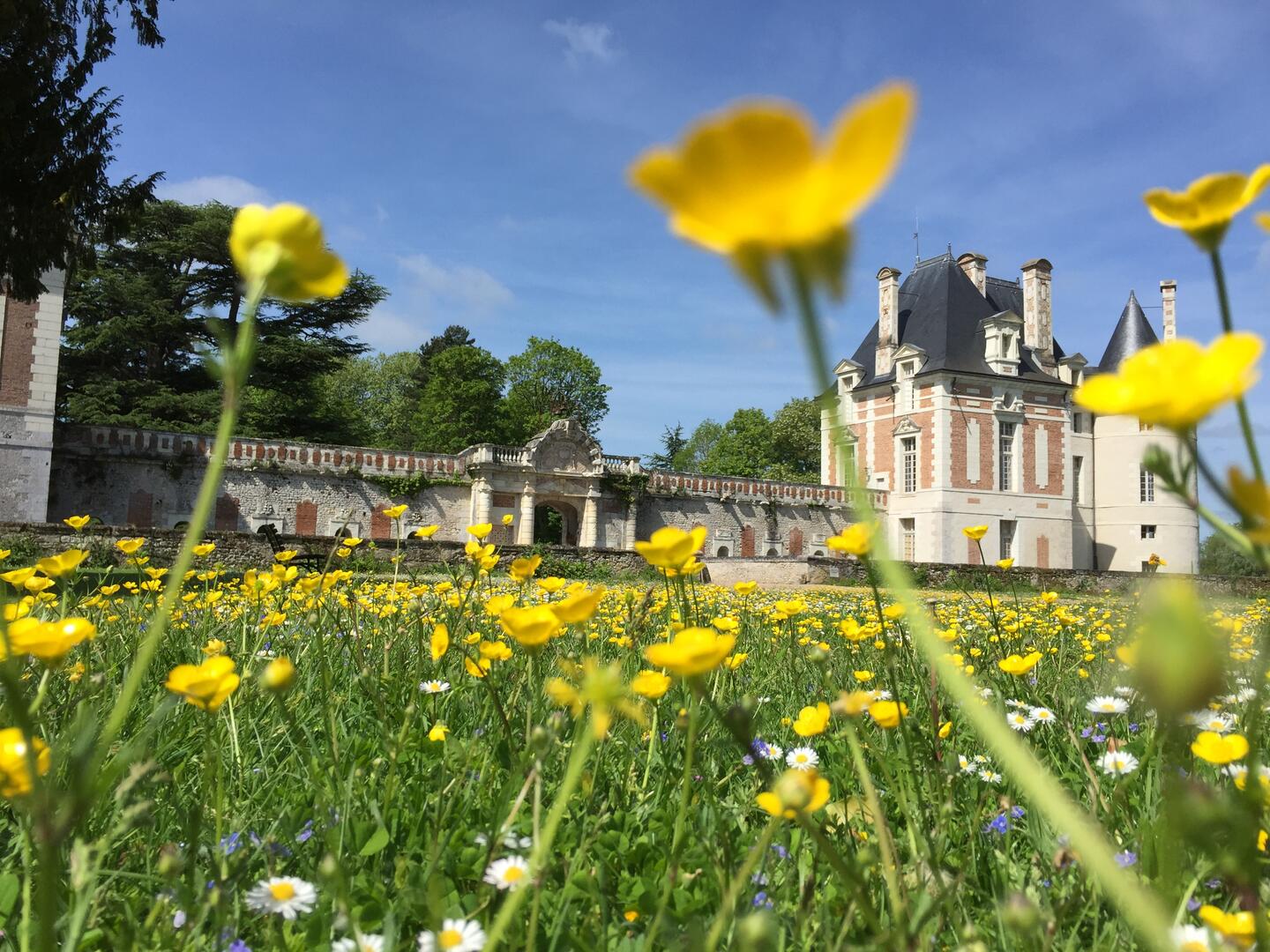 destination-villes-village-chateau-selles-sur-cher