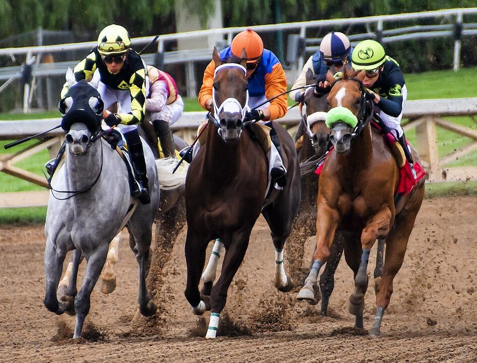 Course de chevaux