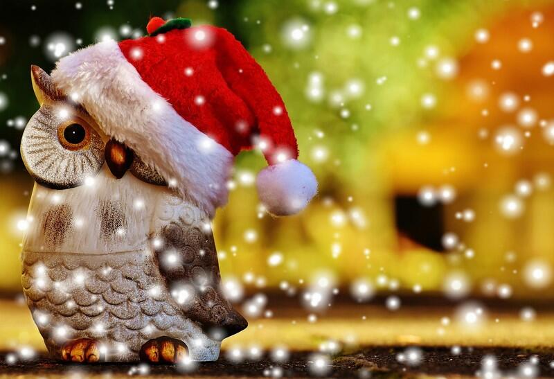noel-deco-hibou-pixabay
