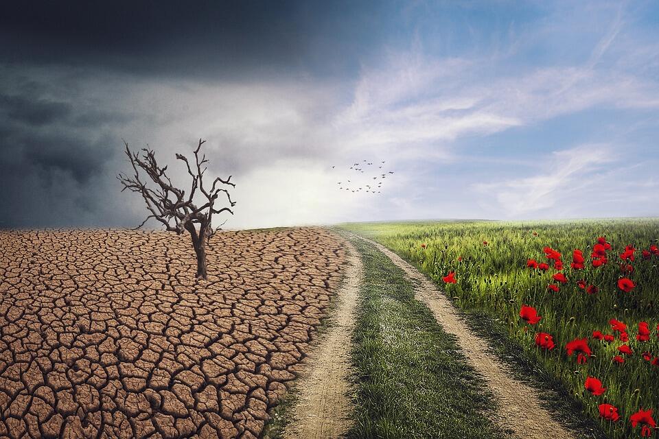 Climat