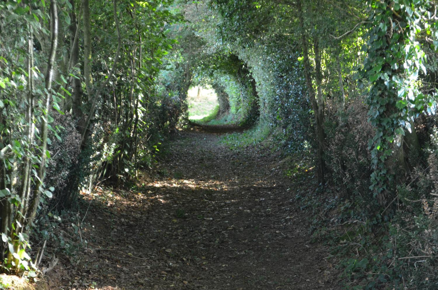 sentier St Roch - Menomblet - 85