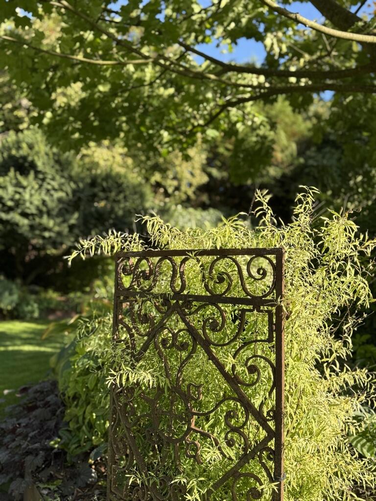 57044CFD-BD3E-412A-877C-5B5A3F371CE0_1_105_c