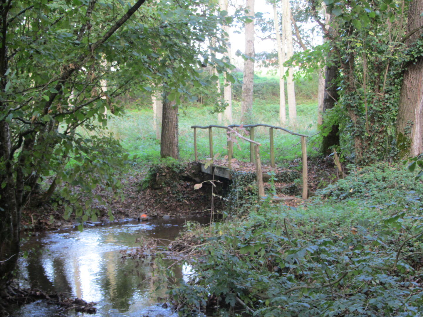 passerelle-du-moulin-garrot - St Maurice le Girard
