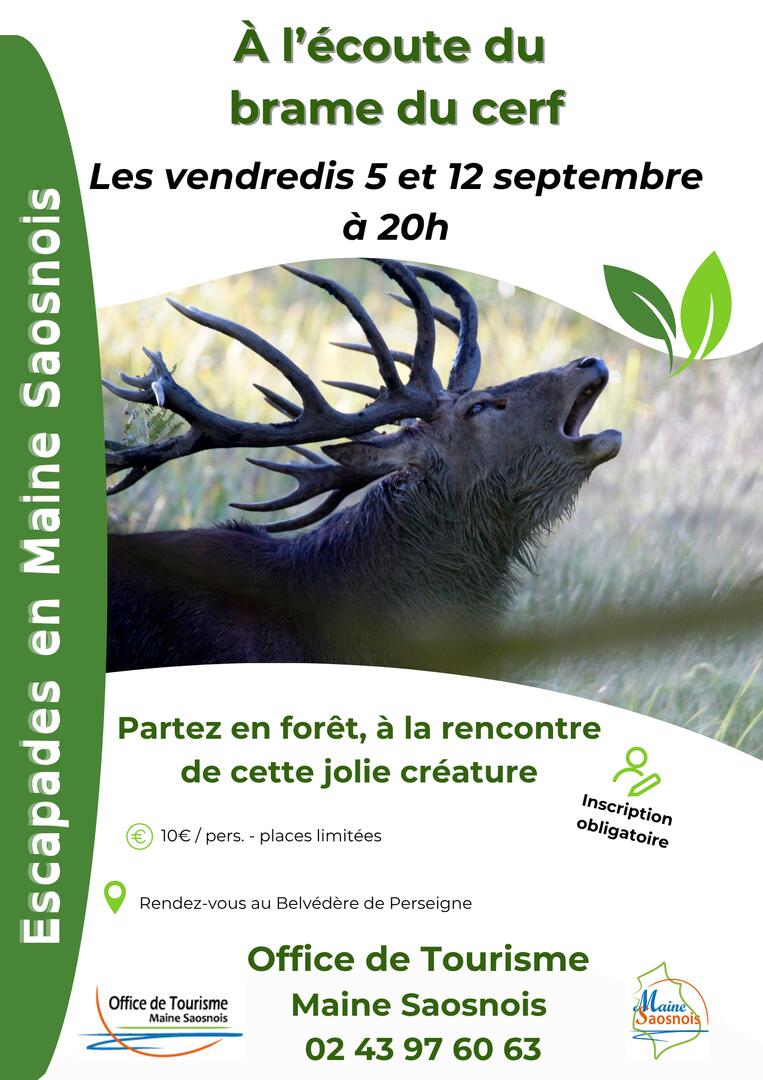 Affiche_EMS_5et12.09