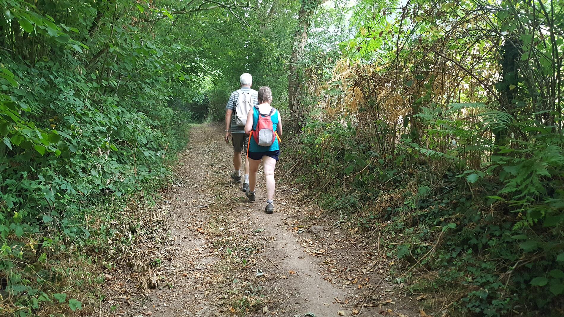 sentier du Lys - la Chapelle aux Lys - 85