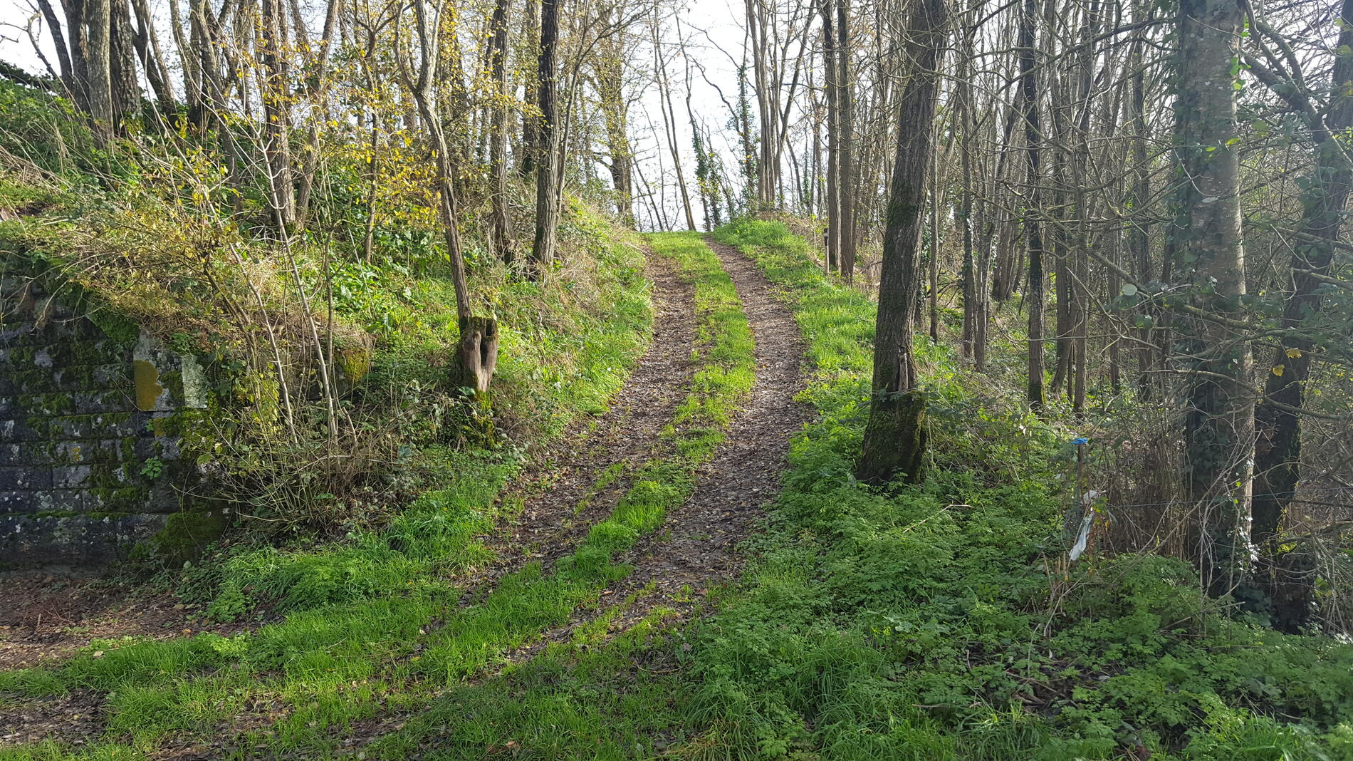 sentier du Barabin - St Sulpice en Pareds - 85