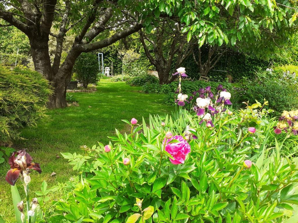 Jardin des Grandes oreilles - Pirmil