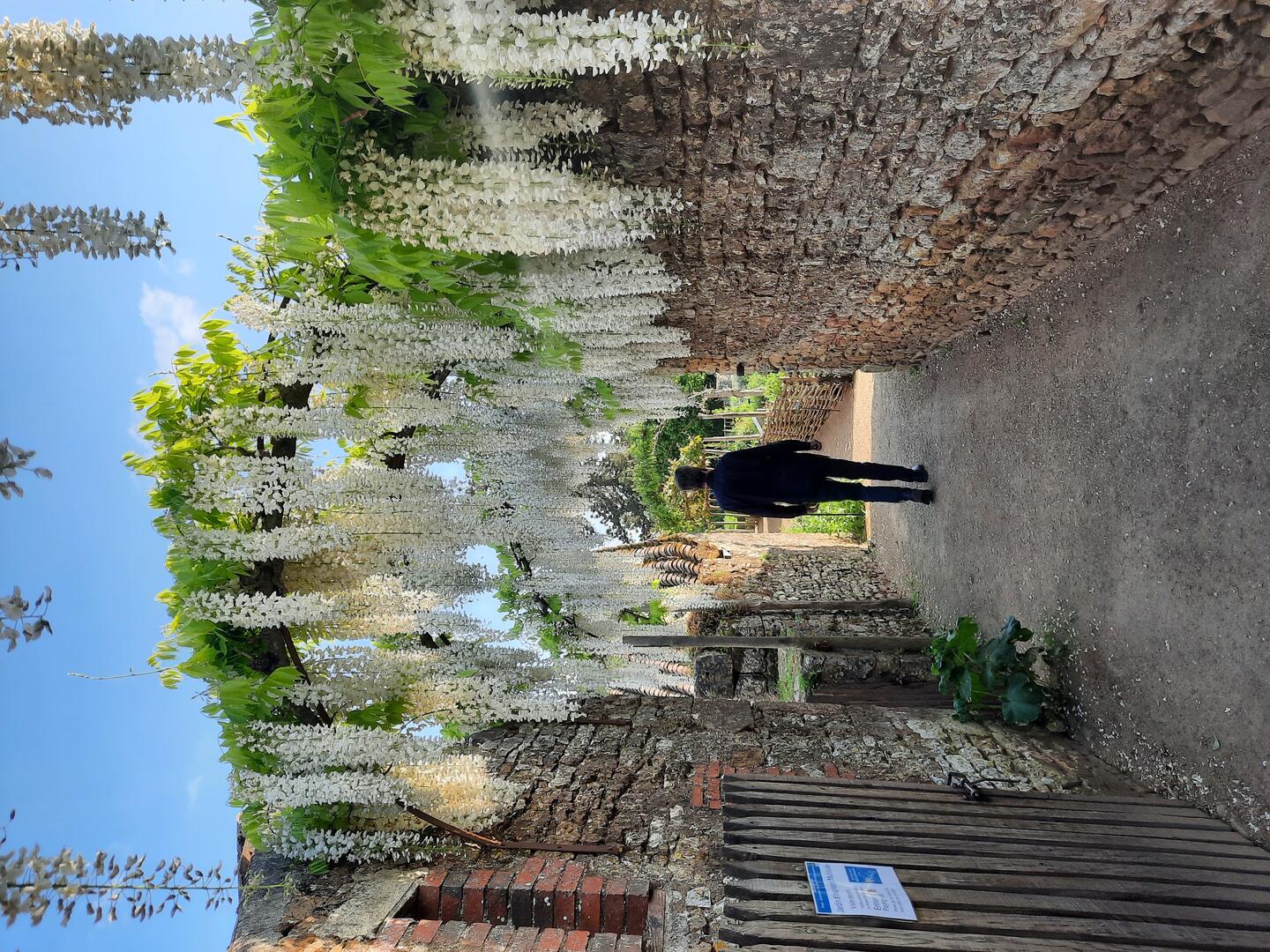 Jardin d'inspiration médiévale