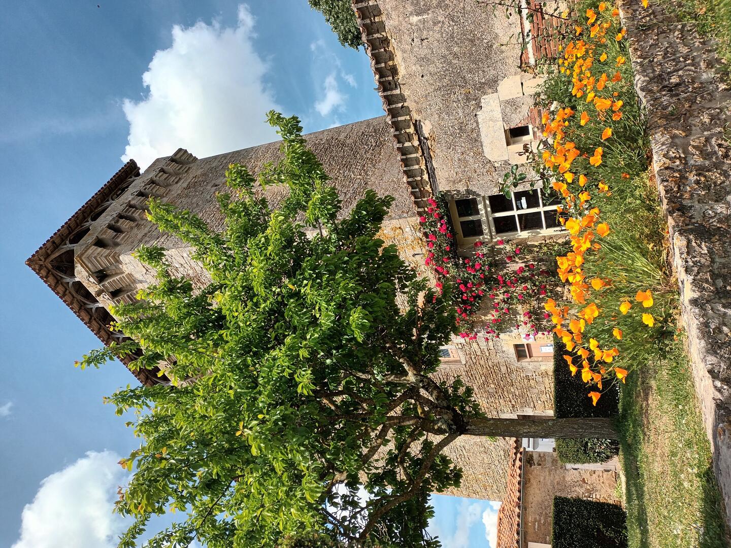 Donjon
